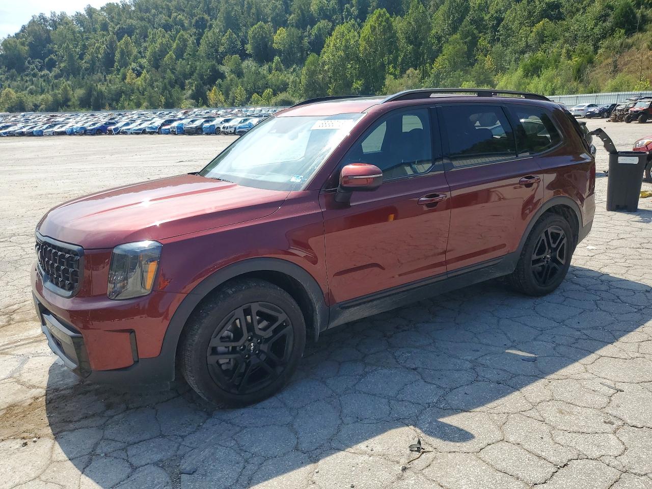2024 KIA TELLURID EX X-LINE | 5XYP3DGC5RG442468 | UPCARS