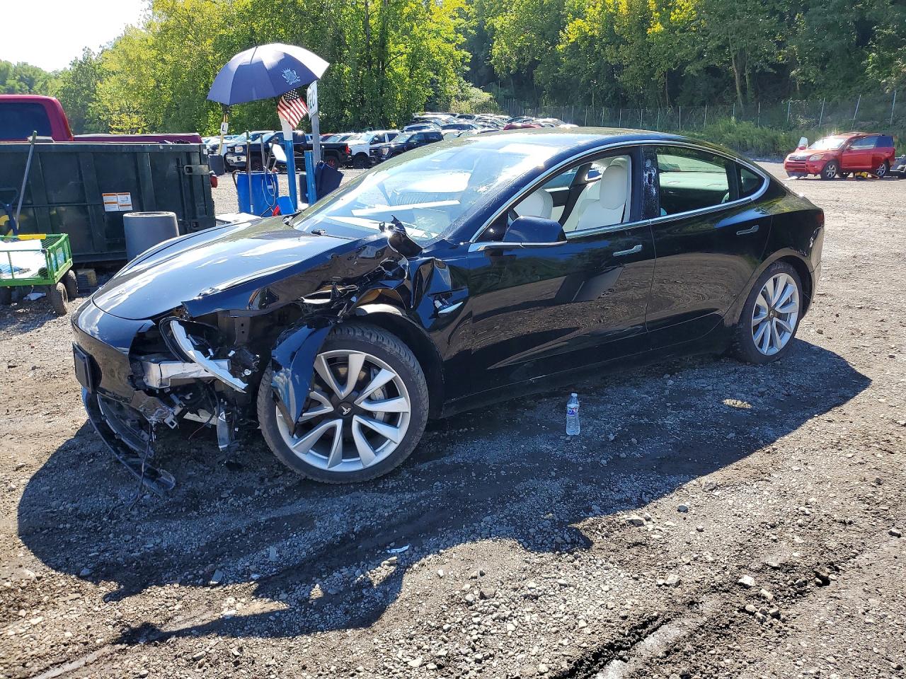 2019 TESLA MODEL 3 | 5YJ3E1EB5KF265158 | UPCARS