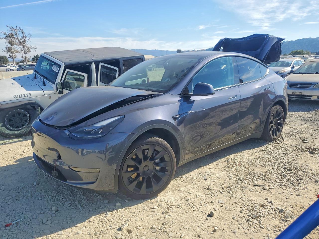 2023 TESLA MODEL Y | 7SAYGDEDXPF946347 | UPCARS
