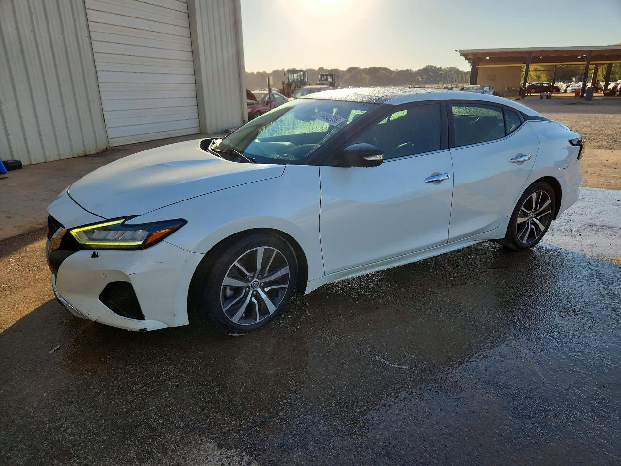 2019 NISSAN MAXIMA 3.5 SL | 1N4AA6AV5KC373170 | UPCARS