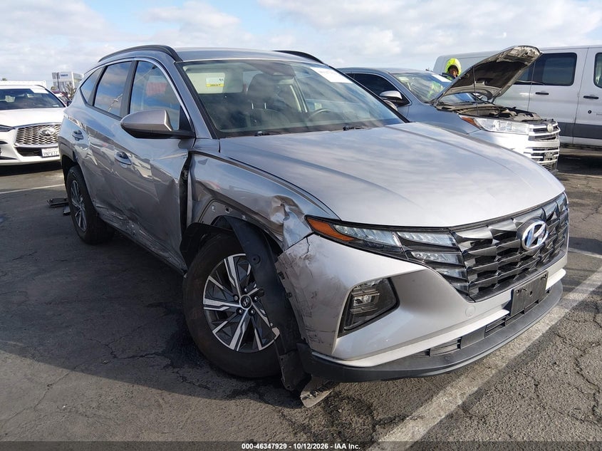 2024 HYUNDAI TUCSON HYBRID BLUE | KM8JBCD11RU150302 | UPCARS