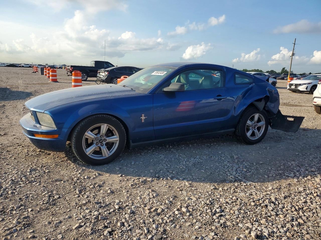 2006 FORD MUSTANG | 1ZVFT80NX65254416 | UPCARS