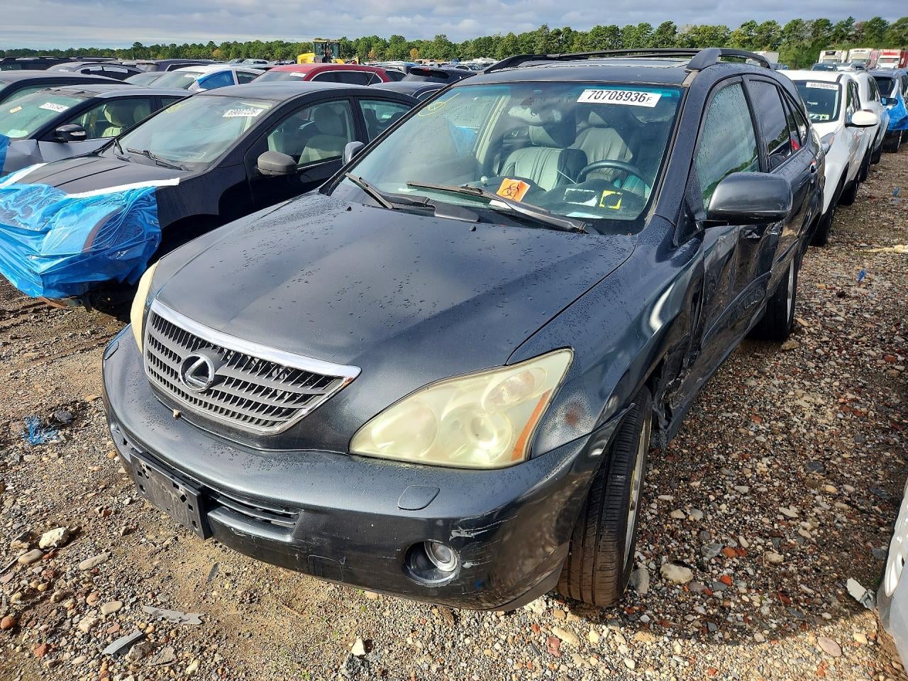 2006 LEXUS RX 400 | JTJHW31U060005435 | UPCARS