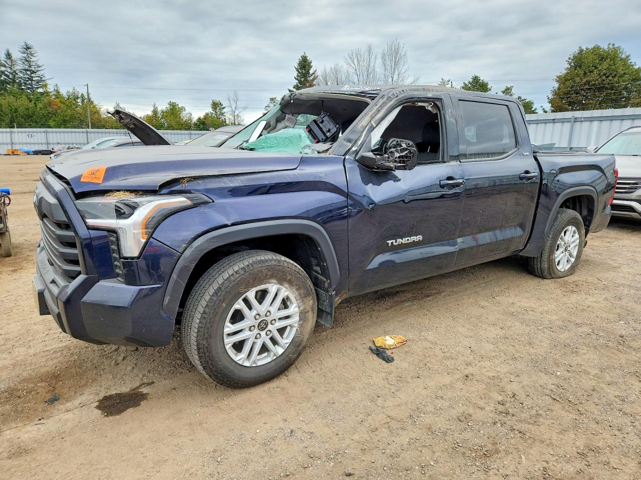 2023 TOYOTA TUNDRA | 5TFLA5DB3PX085596 | UPCARS