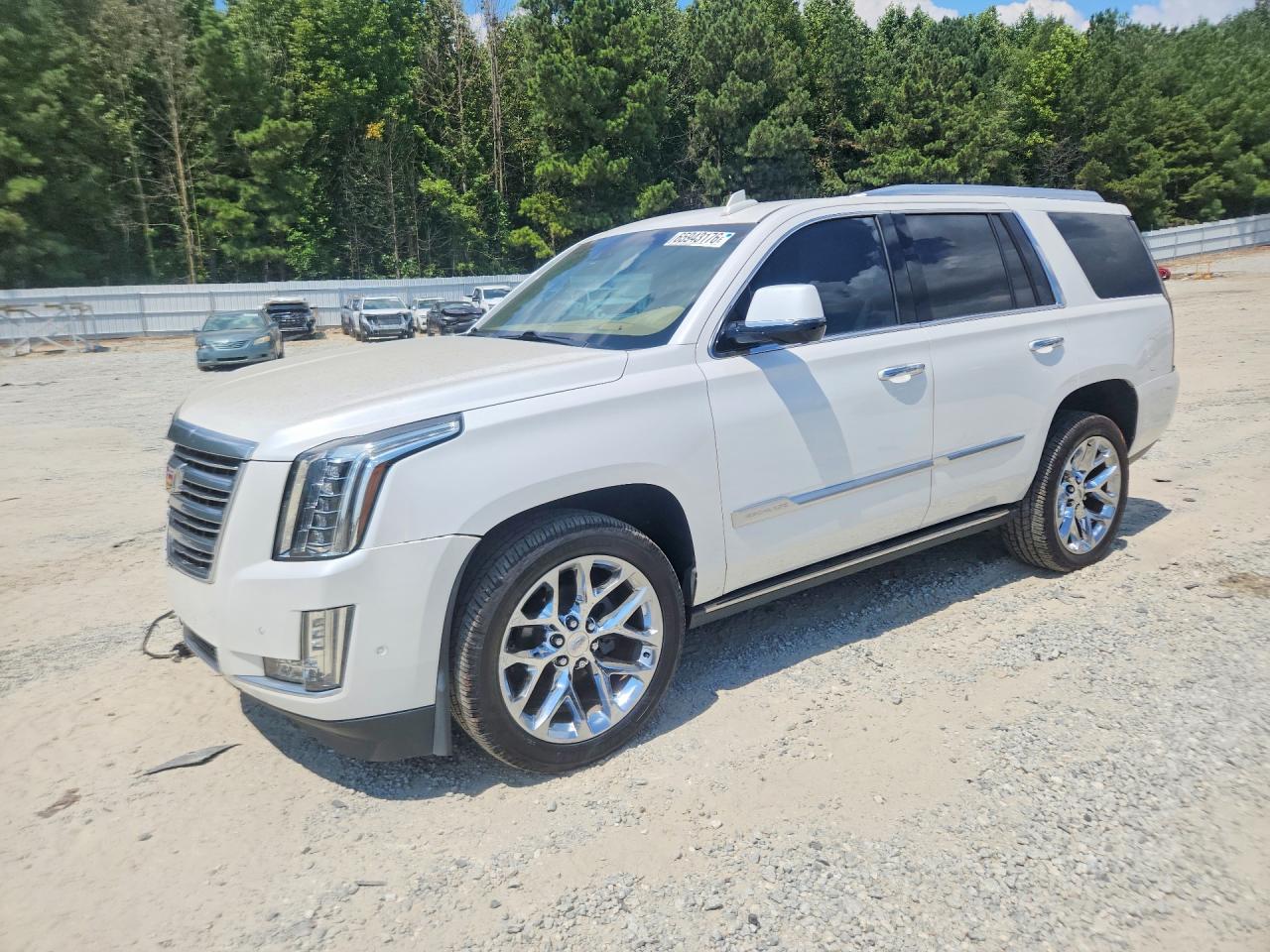 2019 CADILLAC ESCALADE PLATINUM | 1GYS4DKJ6KR118914 | UPCARS