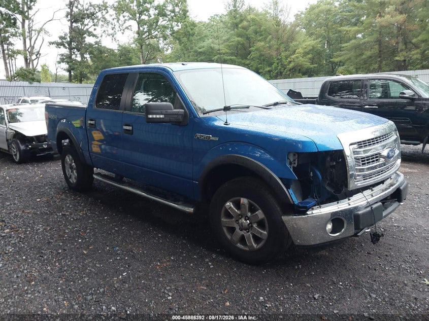 2013 FORD F-150 XLT | 1FTFW1EF1DFB16774 | UPCARS