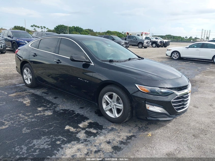 2019 CHEVROLET MALIBU 1FL | 1G1ZC5ST8KF201088 | UPCARS