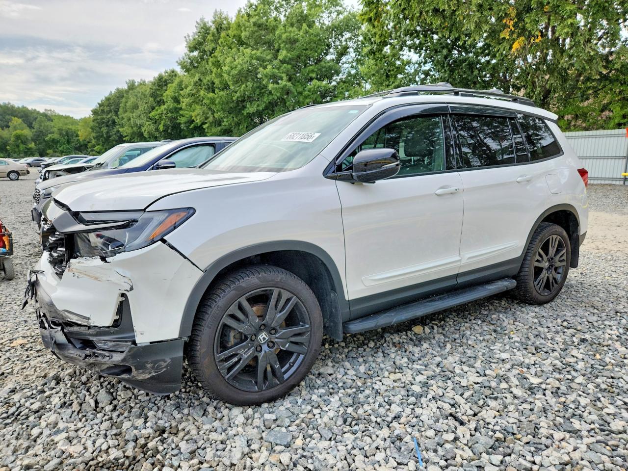 2023 HONDA PASSPORT ELITE | 5FNYF8H05PB013553 | UPCARS