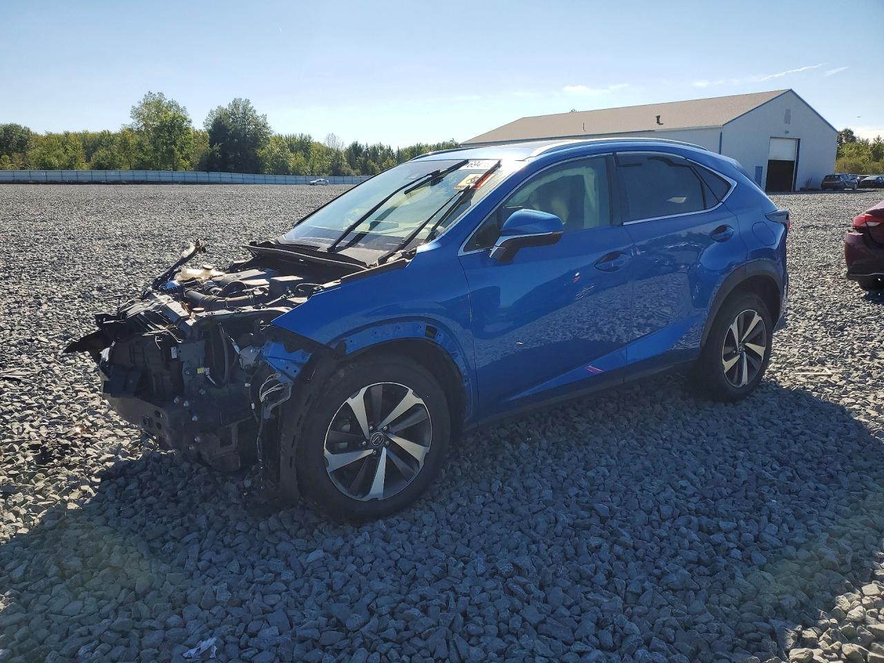 2019 LEXUS NX BASE | JTJBARBZ6K2201105 | UPCARS