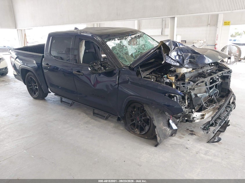 2023 TOYOTA TUNDRA SR5 | 5TFLA5DB1PX060955 | UPCARS