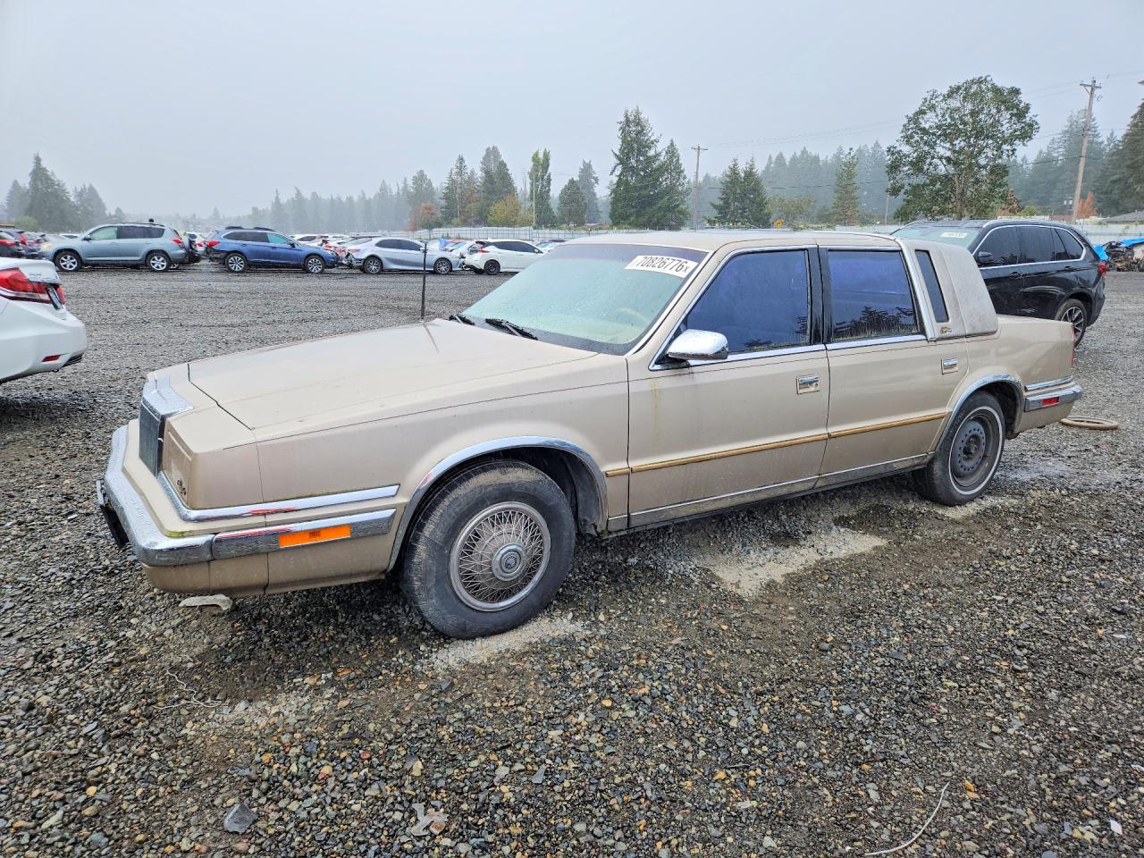 1991 CHRYSLER NEW YORKER FIFTH AVENUE | 1C3XY66R6MD258154 | UPCARS