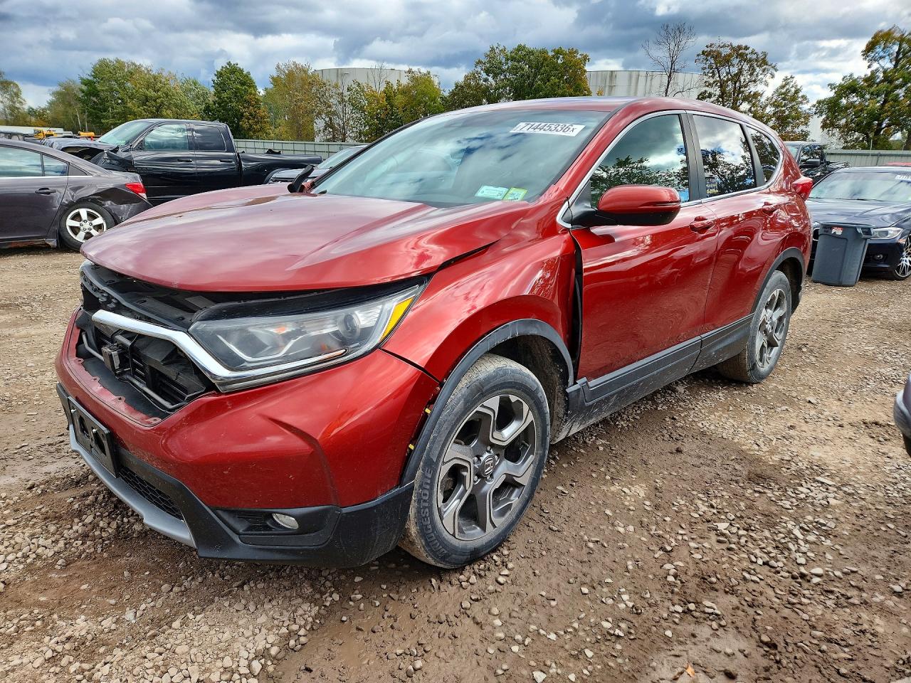 2019 HONDA CRV EX | 2HKRW2H59KH613323 | UPCARS