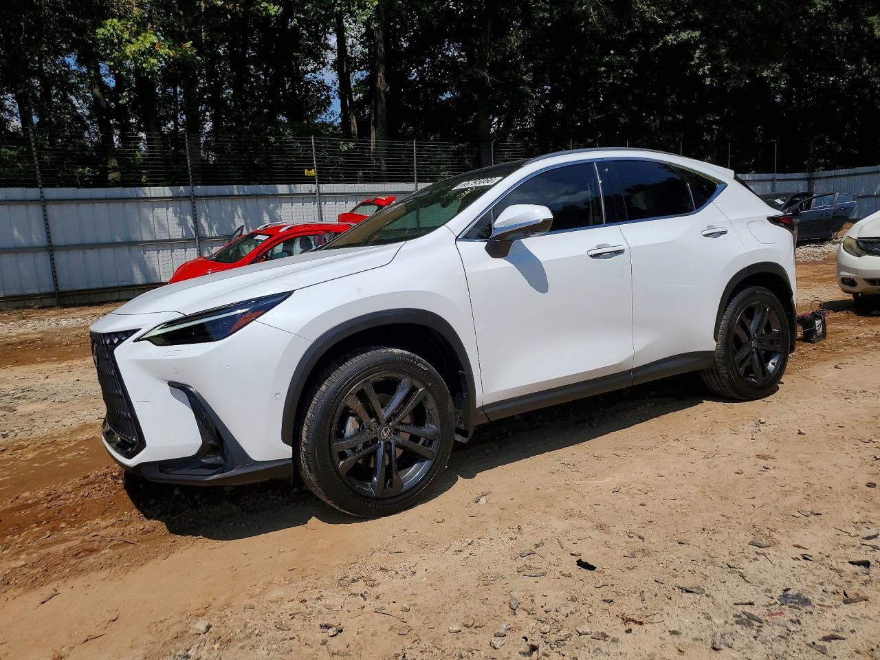 2026 LEXUS NX LUXURY | JTJHKCFZ9T2079419 | UPCARS