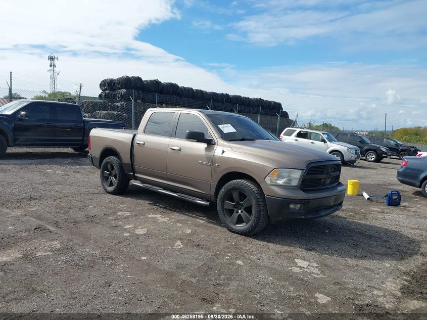 2009 DODGE RAM 1500 SLT/SPORT/TRX | 1D3HV13T49S738540 | UPCARS