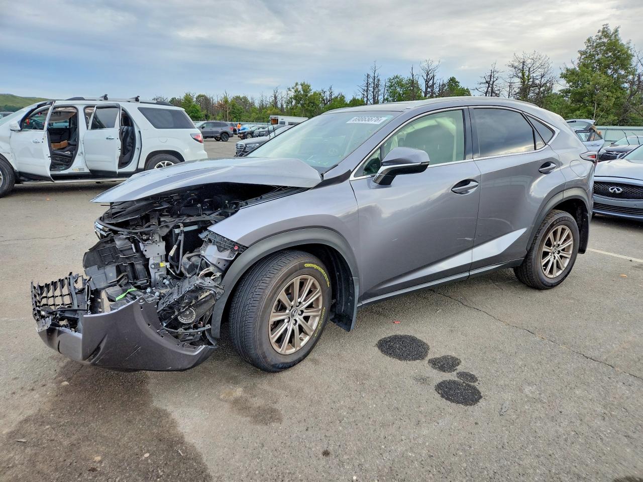 2020 LEXUS NX 300 | JTJDARDZ3L2231542 | UPCARS