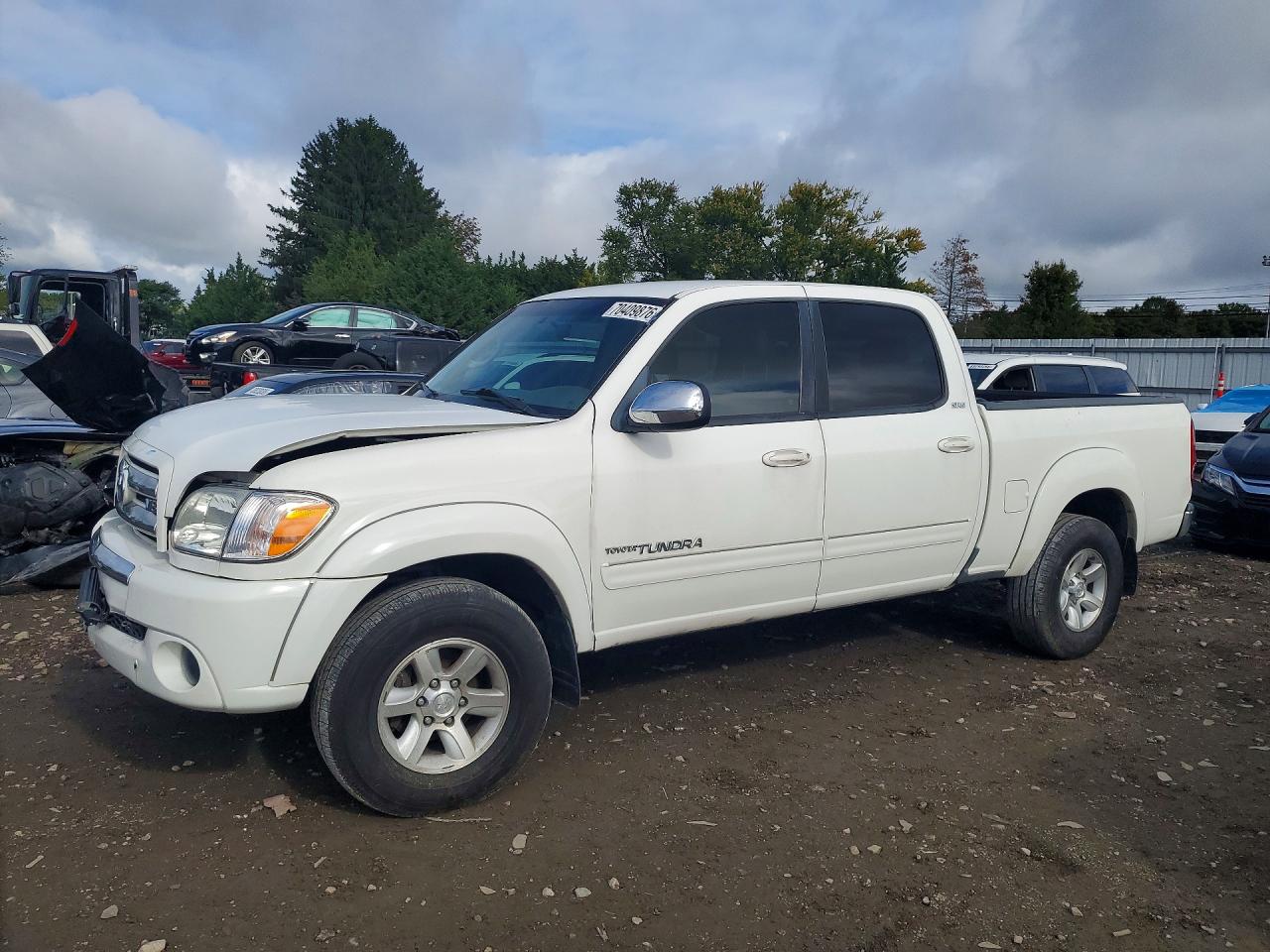 2006 TOYOTA TUNDRA DOUBLE CAB SR5 | 5TBET34126S533175 | UPCARS