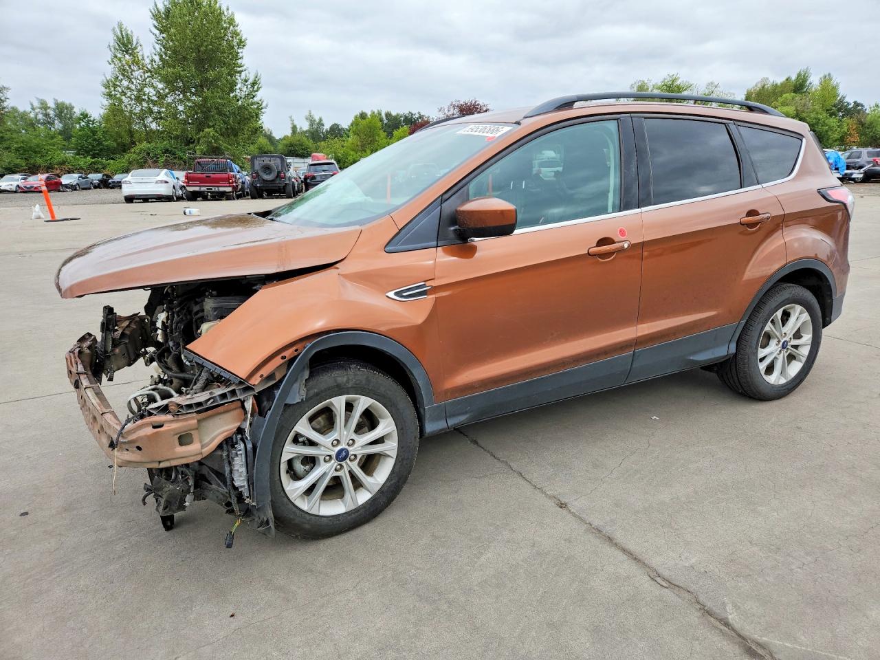 2017 FORD ESCAPE SE | 1FMCU0GD3HUC67188 | UPCARS