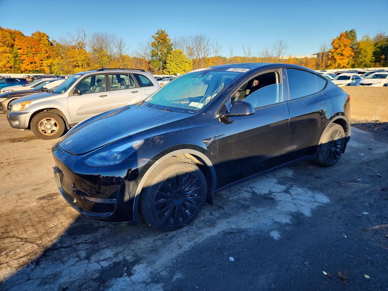 2023 TESLA MODEL Y | 7SAYGDEE7PA181796 | UPCARS