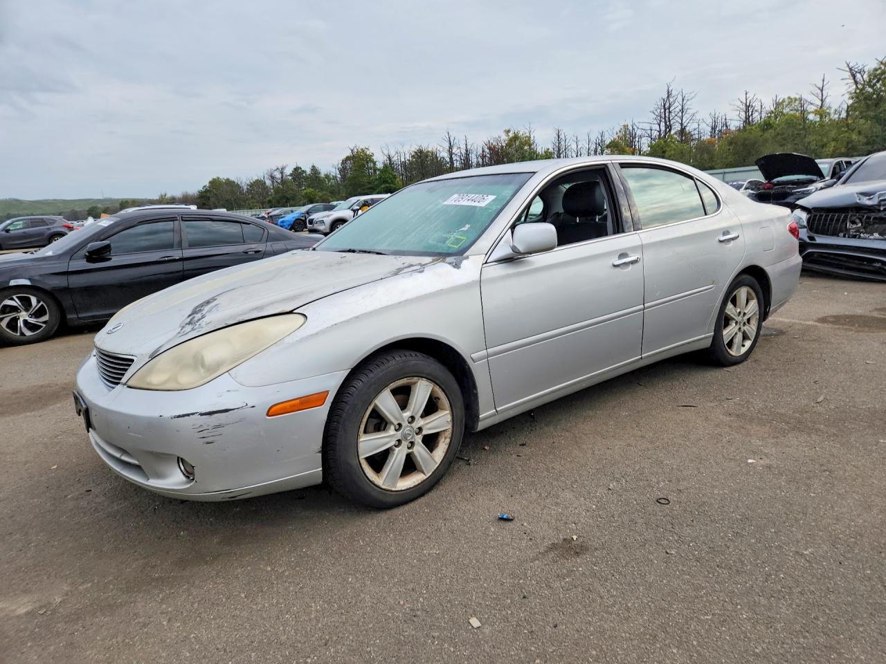 2005 LEXUS ES 330 | JTHBA30G955084512 | UPCARS