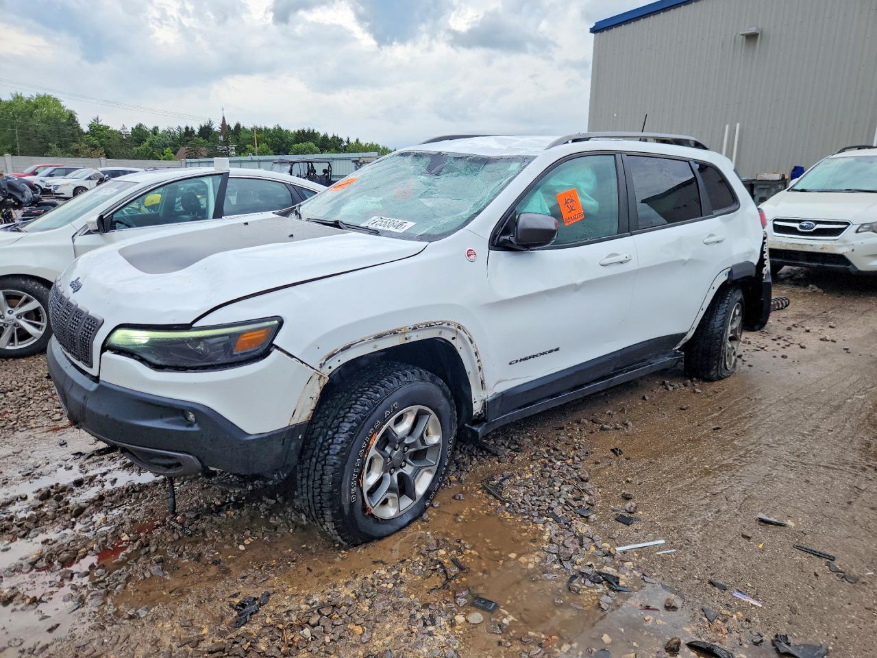 2019 JEEP CHEROKEE TRAILHAWK | 1C4PJMBX6KD167987 | UPCARS