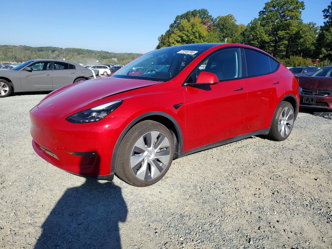 2023 TESLA MODEL Y | 7SAYGDEE3PF673177 | UPCARS