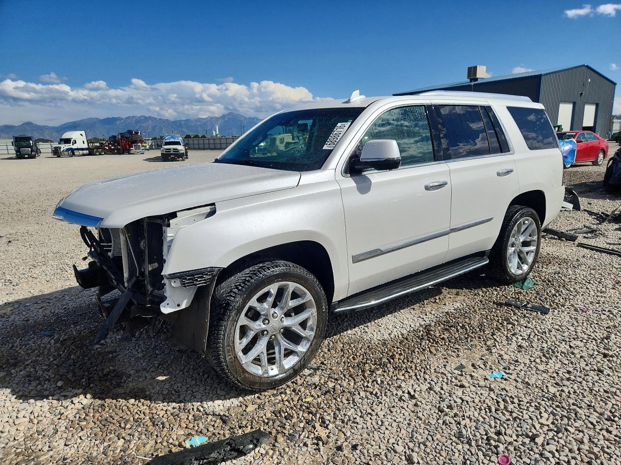 2017 CADILLAC ESCALADE LUXURY | 1GYS4BKJ6HR217892 | UPCARS