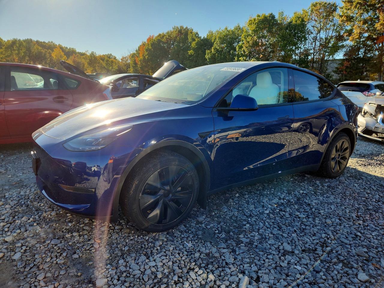 2024 TESLA MODEL Y | 7SAYGDED8RF133205 | UPCARS