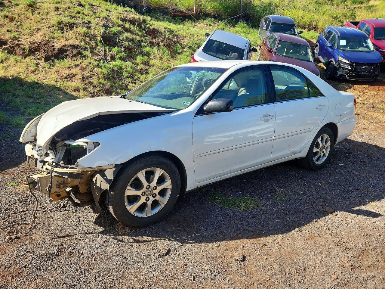 2004 TOYOTA CAMRY STANDARD | JTDBE30K240275789 | UPCARS