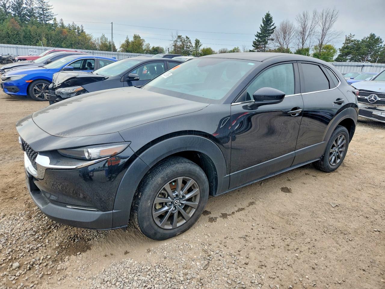 2021 MAZDA CX30 GX | 3MVDMBB77MM259260 | UPCARS