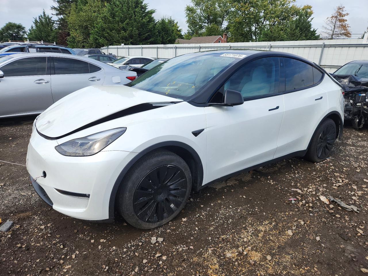 2023 TESLA MODEL Y | 7SAYGAEE9PF776974 | UPCARS