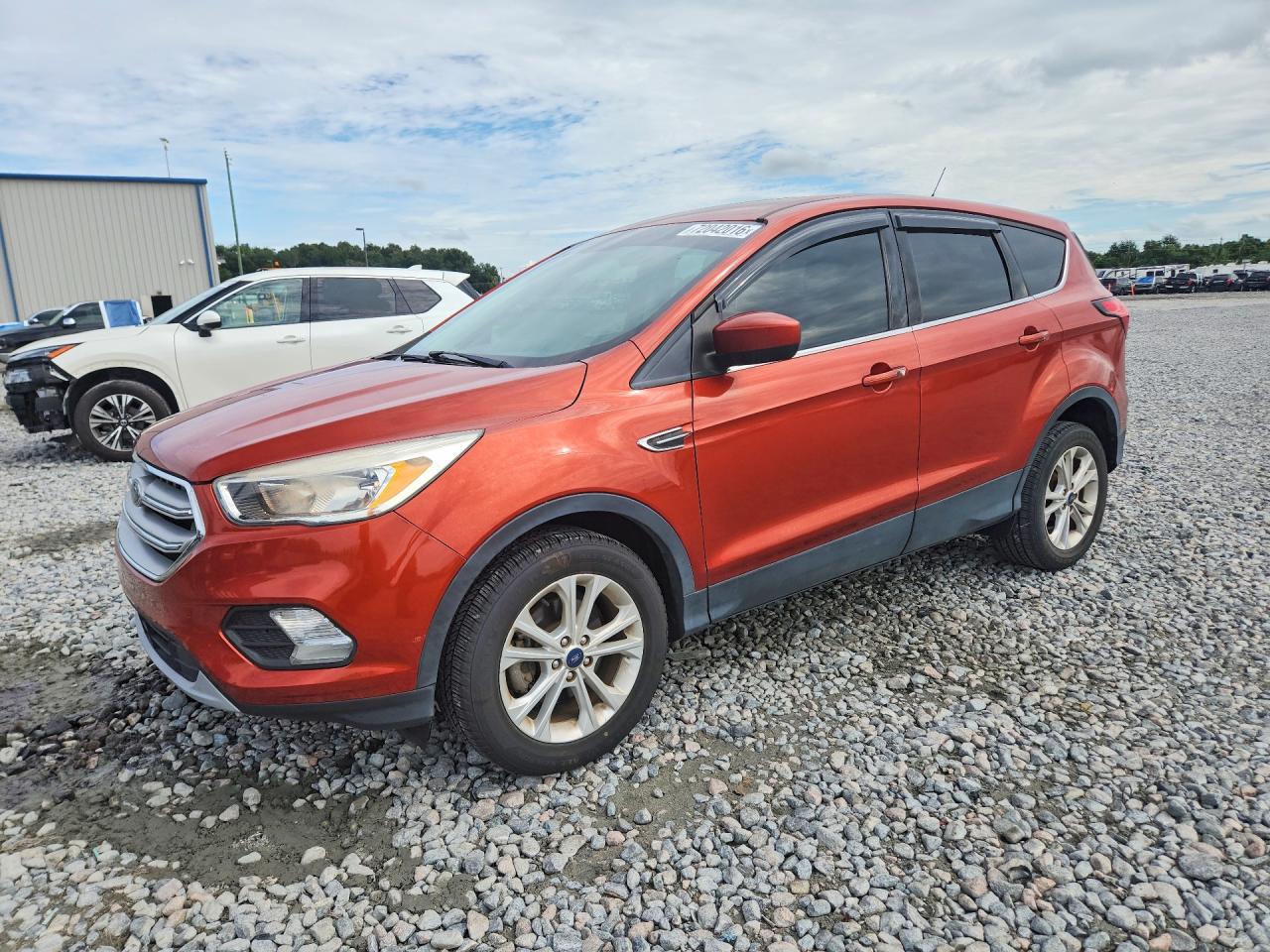 2019 FORD ESCAPE SE | 1FMCU0GD2KUA15990 | UPCARS