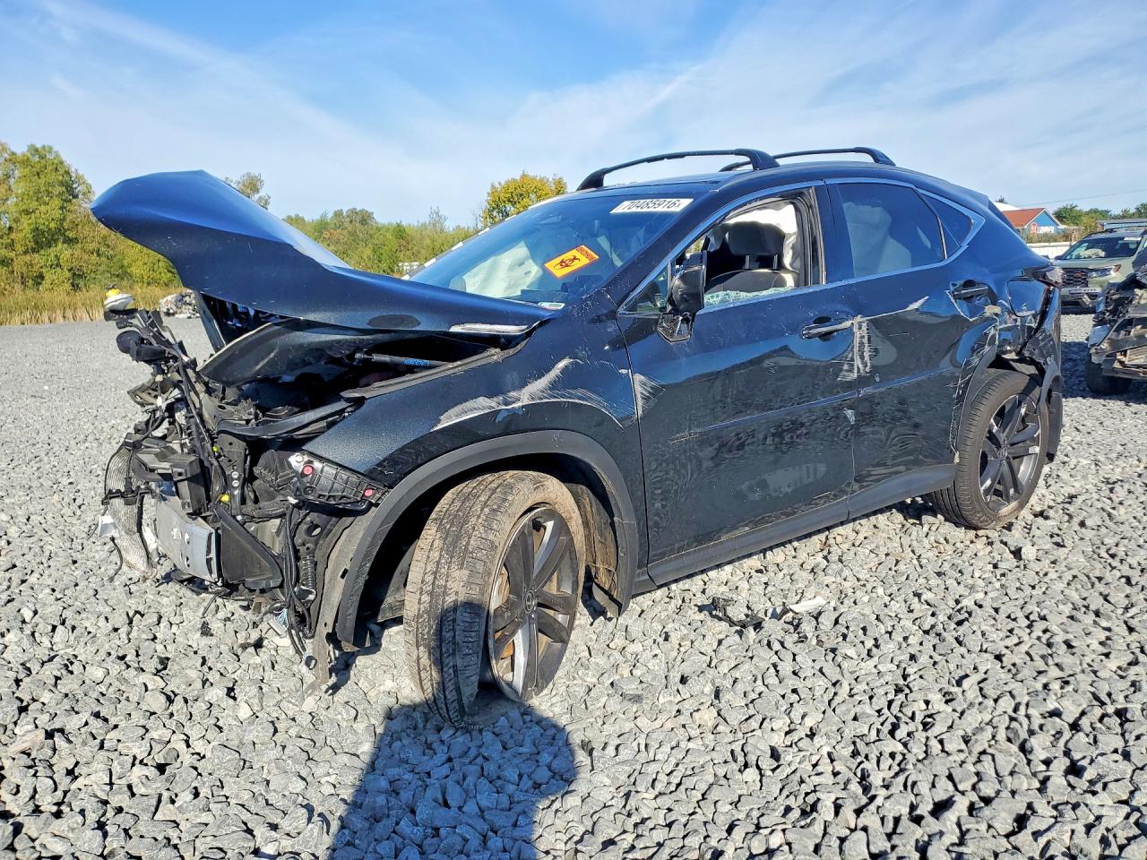 2024 LEXUS NX BASE | JTJHKCFZ2R2024285 | UPCARS