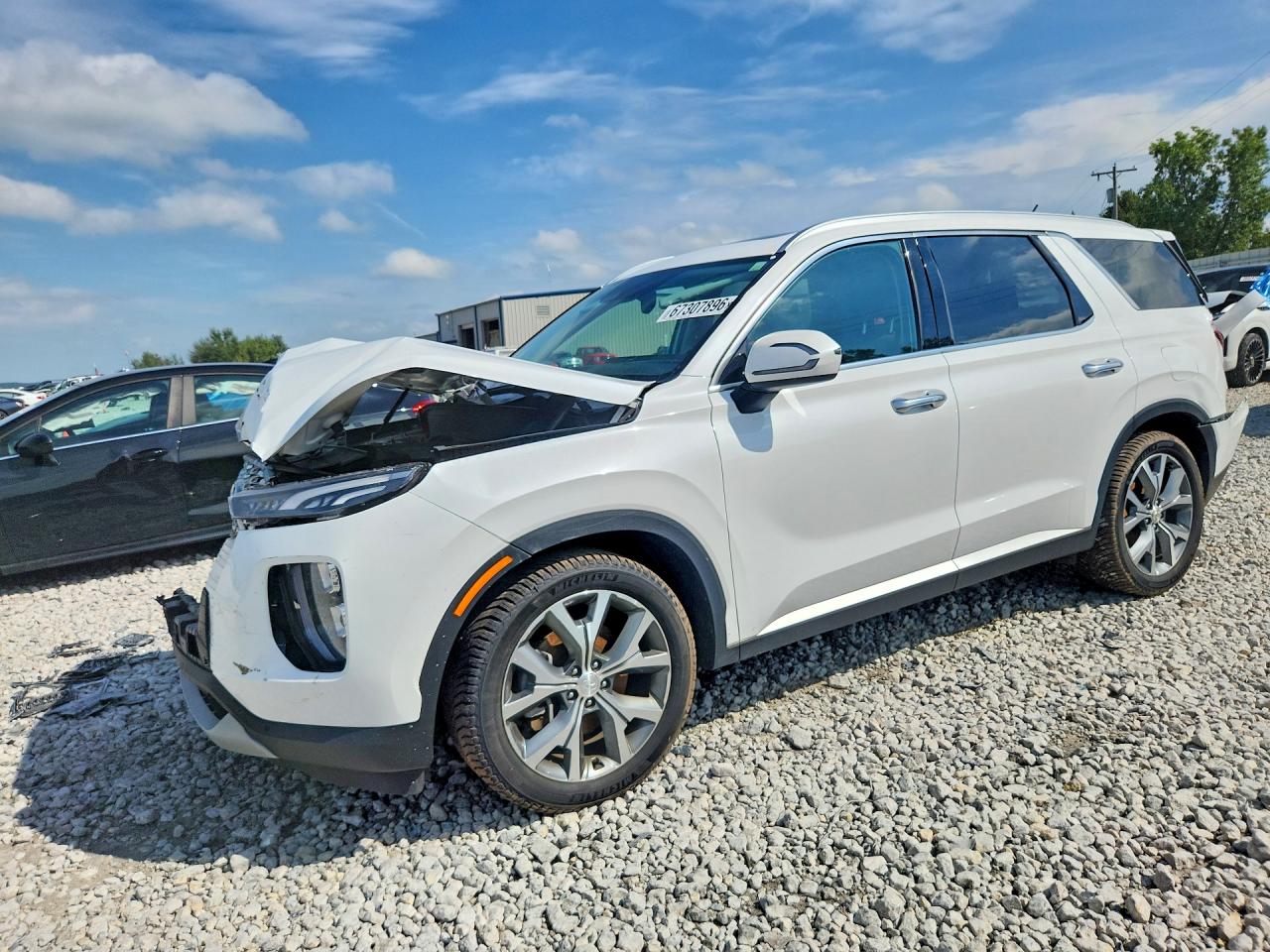 2020 HYUNDAI PALISADE SEL | KM8R3DHE6LU085716 | UPCARS