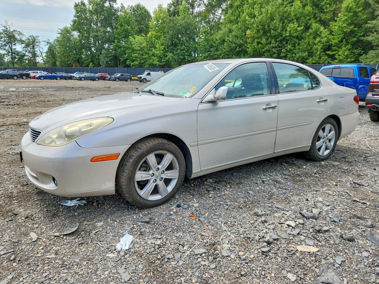 2005 LEXUS ES 330 | JTHBA30G255085341 | UPCARS