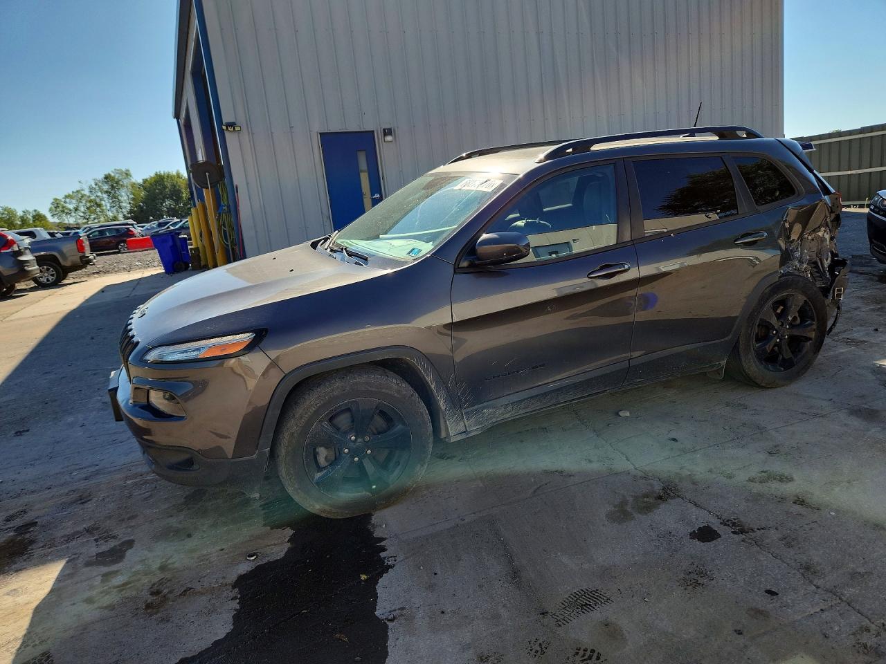 2016 JEEP CHEROKEE LIMITED | 1C4PJMDS1GW317842 | UPCARS