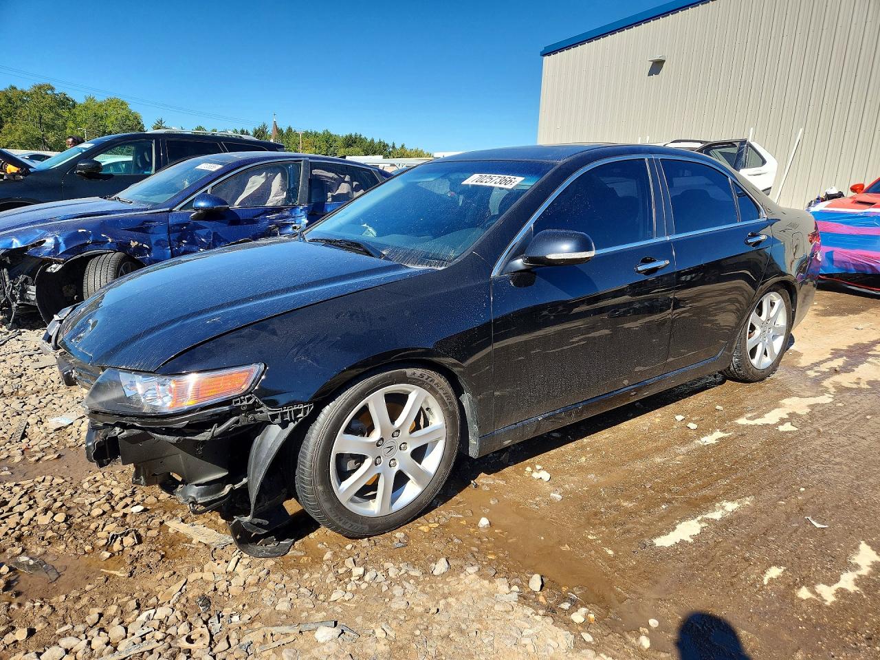 2005 ACURA TSX | JH4CL96855C032825 | UPCARS