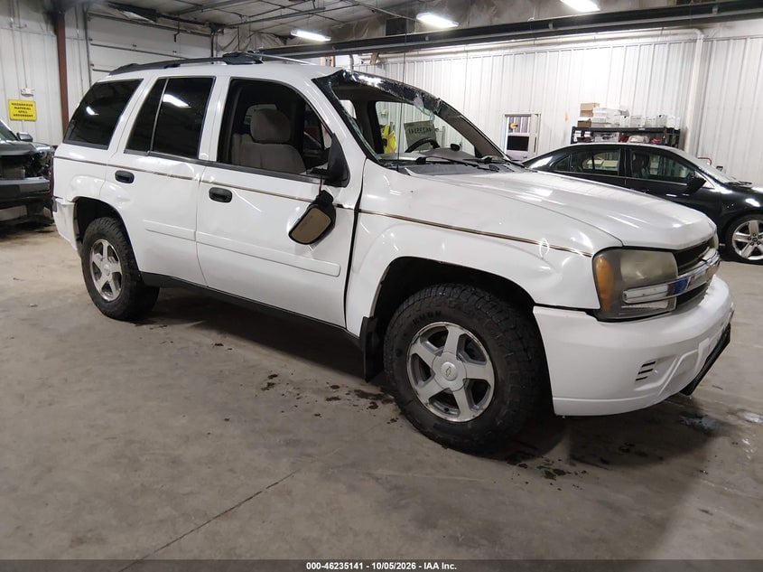 2006 CHEVROLET TRAILBLAZER LS | 1GNDT13S262224600 | UPCARS
