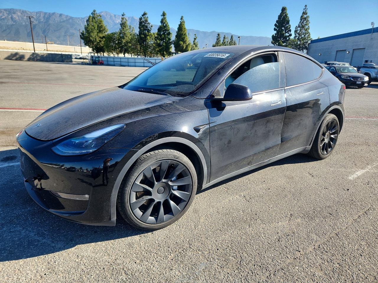 2023 TESLA MODEL Y | 7SAYGDEE4PF867653 | UPCARS