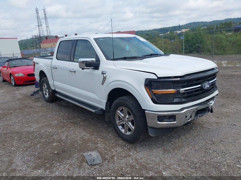 2024 FORD F-150 XLT | 1FTFW3L88RKF72379 | UPCARS