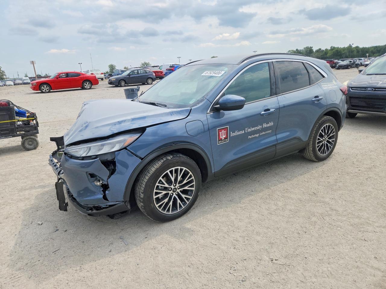 2024 FORD ESCAPE | 1FMCU0E12RUB57551 | UPCARS
