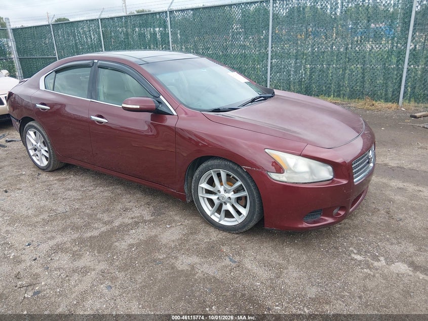 2010 NISSAN MAXIMA 3.5 SV | 1N4AA5AP1AC852292 | UPCARS