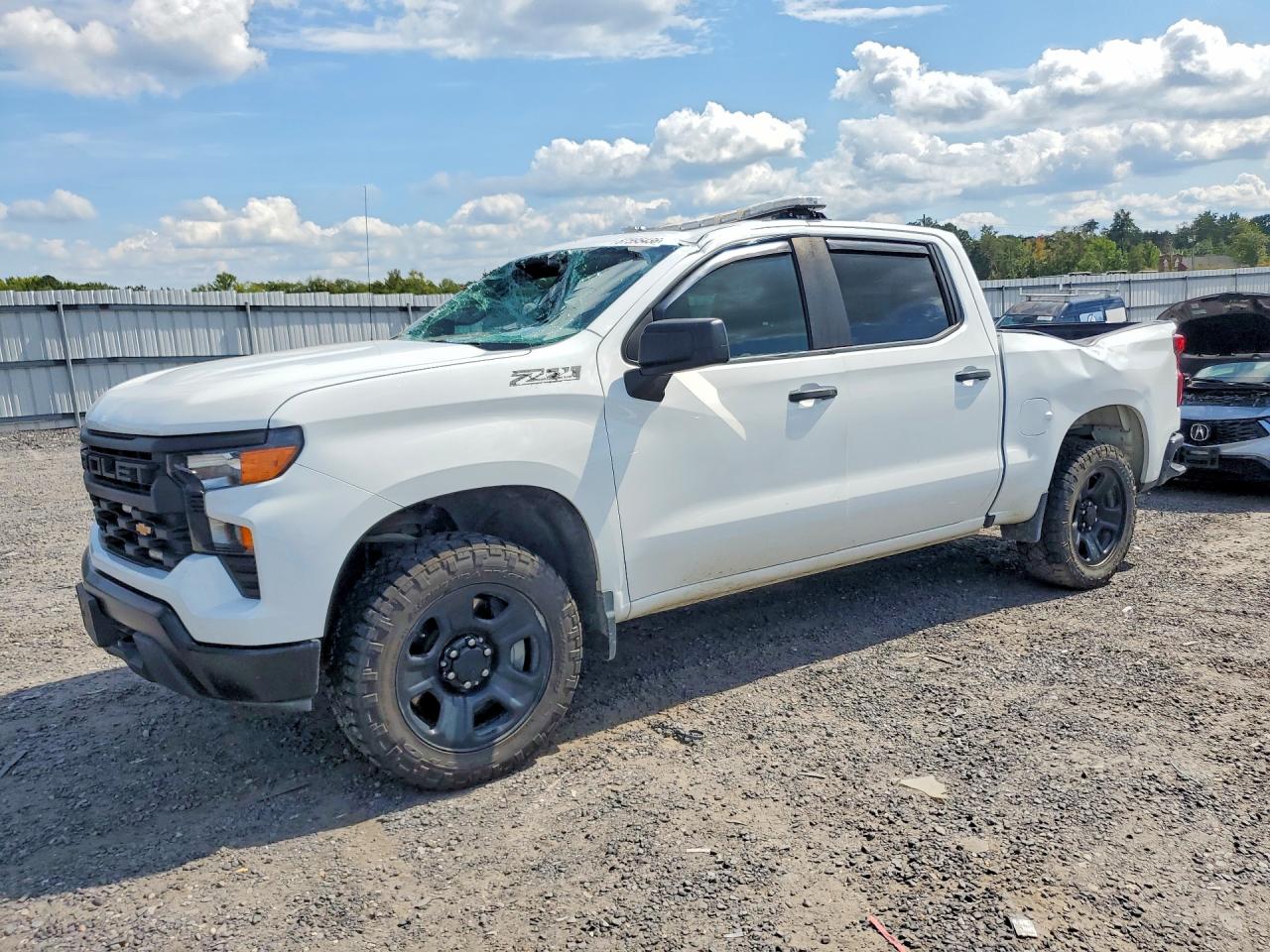 2023 CHEVROLET SILVERADO K1500 | 3GCUDAED3PG308602 | UPCARS
