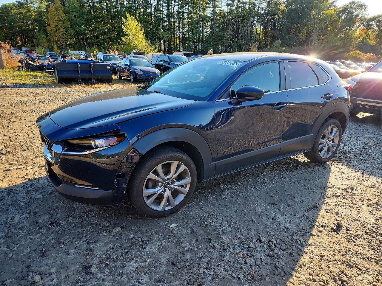 2020 MAZDA CX30 PREFERRED | 3MVDMBDL5LM111228 | UPCARS