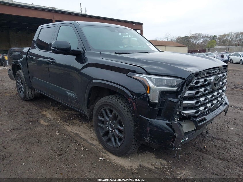 2023 TOYOTA TUNDRA PLATINUM | 5TFNA5DB9PX109182 | UPCARS
