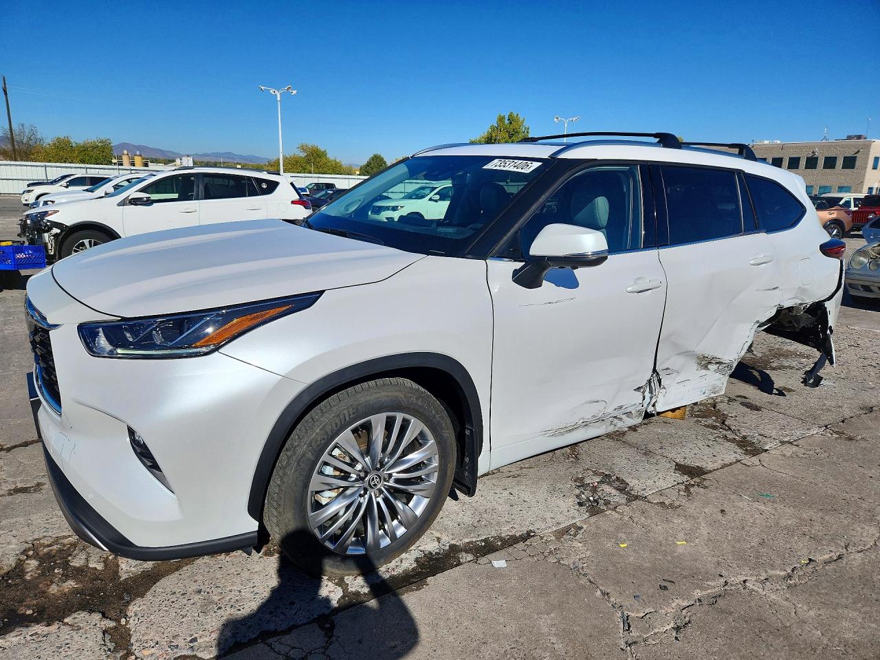 2025 TOYOTA HIGHLANDER PLATINUM | 5TDKDRBH9SS586301 | UPCARS