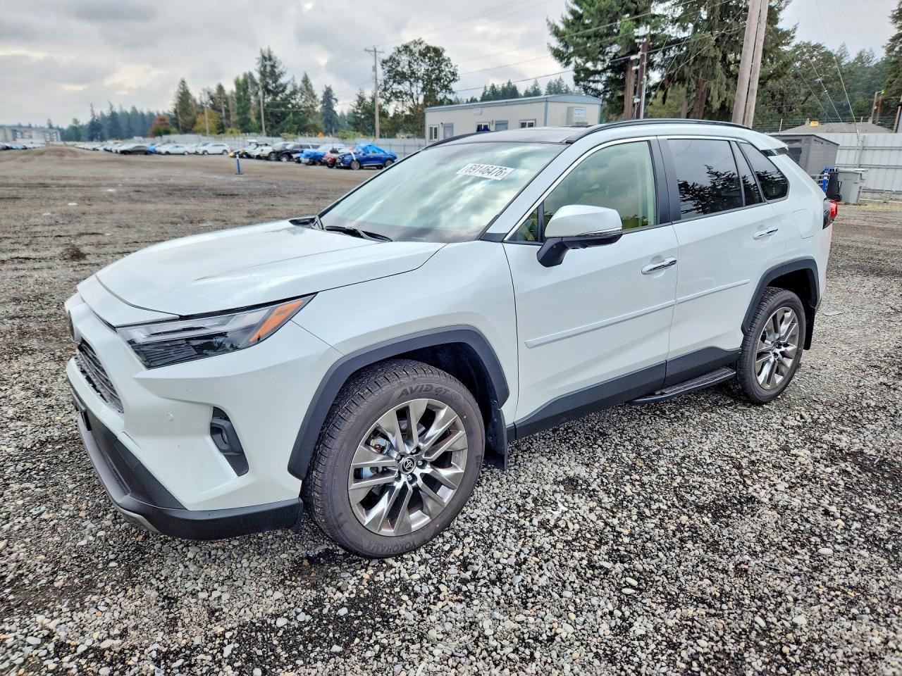 2025 TOYOTA RAV4 LIMITED | JTMN1RFV9SJ045686 | UPCARS