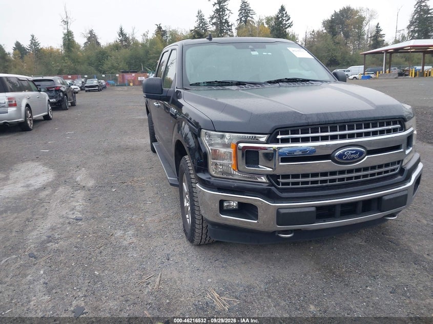 2019 FORD F150 KING RANCH/LARIAT/PLATINUM/XL/XLT | 01FTFW1E42KK19763 | UPCARS
