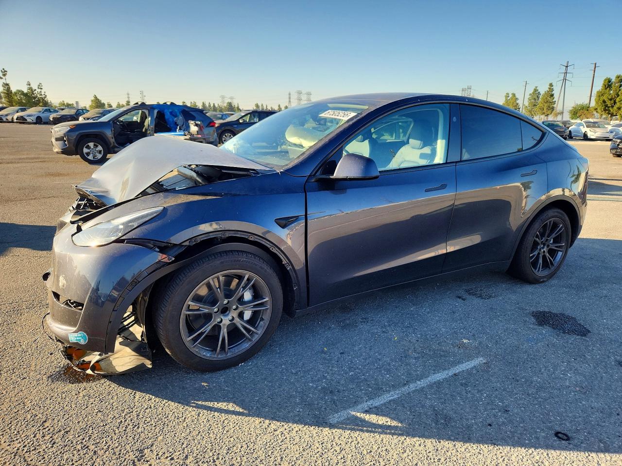2025 TESLA MODEL Y | 7SAYGDEDXSA367042 | UPCARS