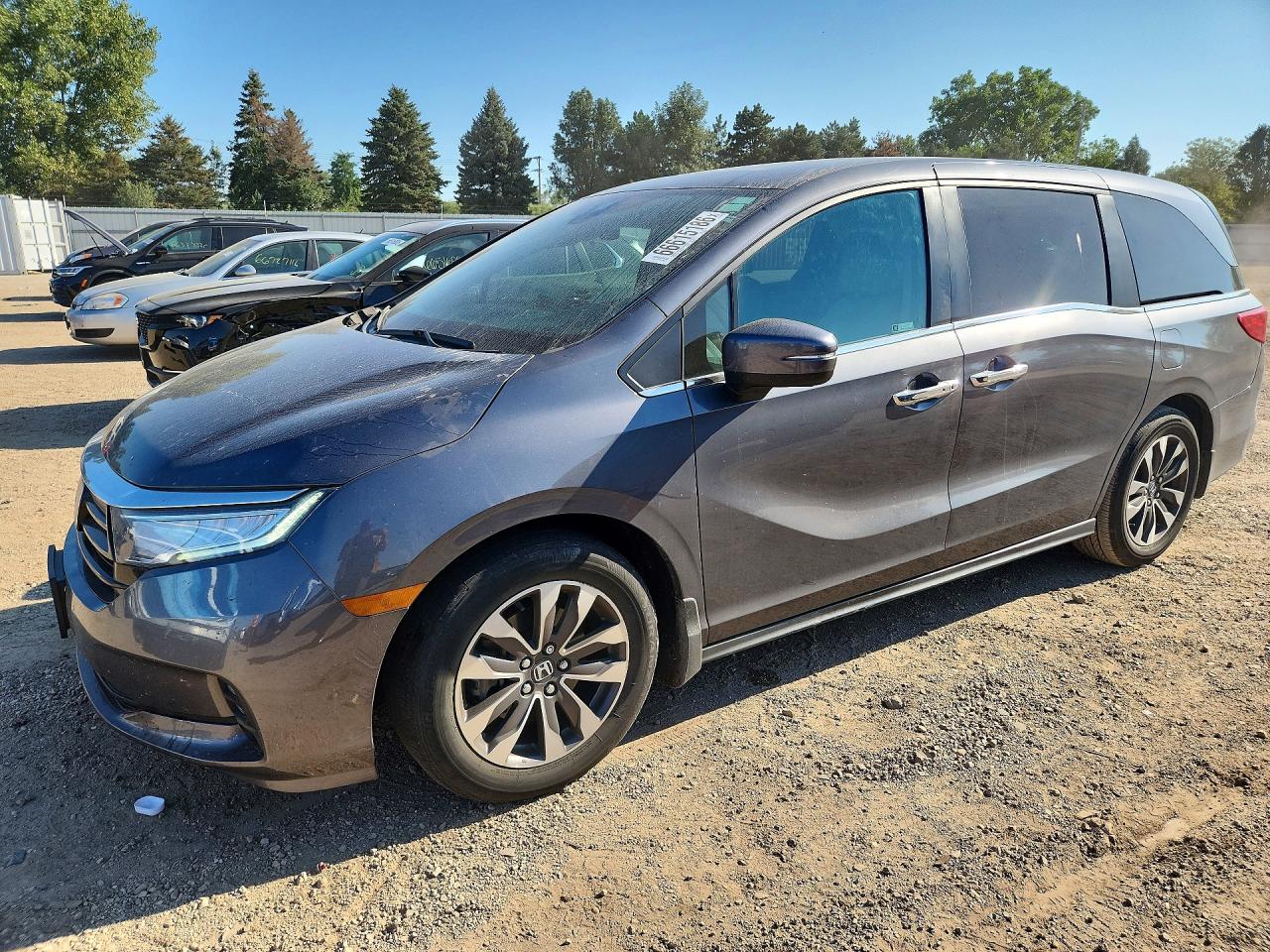 2023 HONDA ODYSSEY EXL | 5FNRL6H63PB059078 | UPCARS