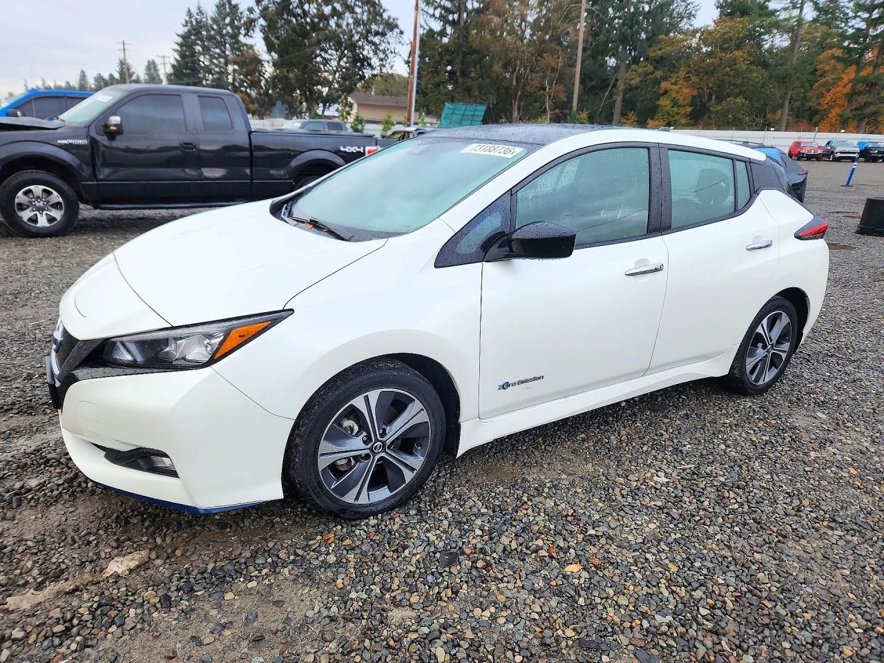 2019 NISSAN LEAF SV PLUS | 1N4BZ1CP2KC313930 | UPCARS